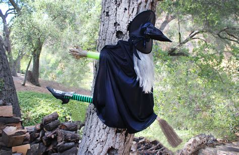 Witch bump into tree